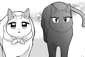 第7話