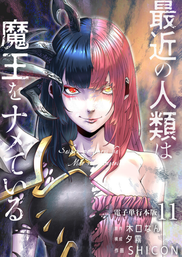 第11巻